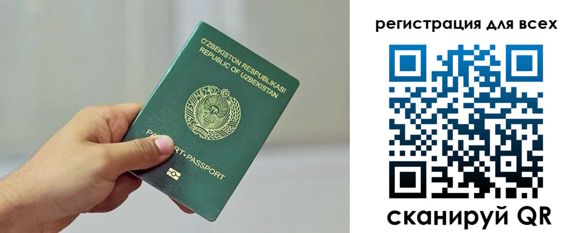 прописка ребенка в Луге